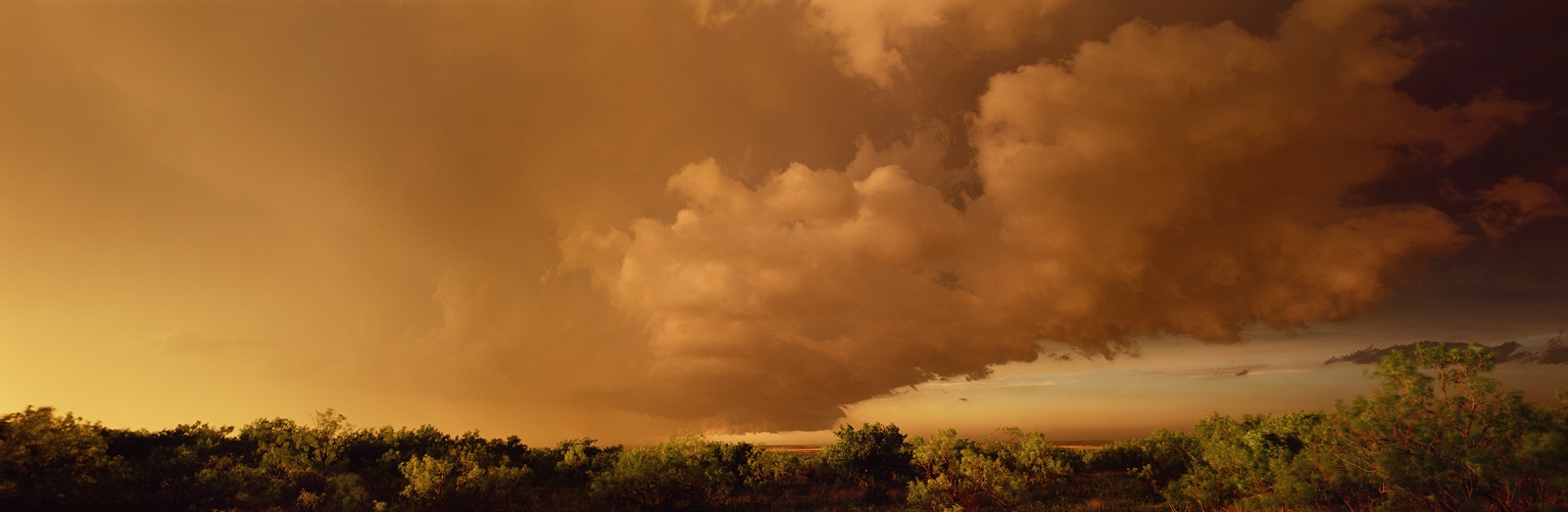 Storm Turkey Texas